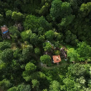Mahout Wayanad - An Experiential Jungle With Waterfall Holiday park